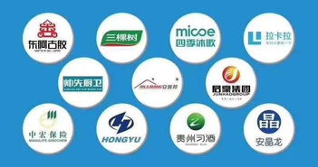 如何在眾多大數據營銷公司中慧眼識珠？選擇靠譜服務商的全面指南